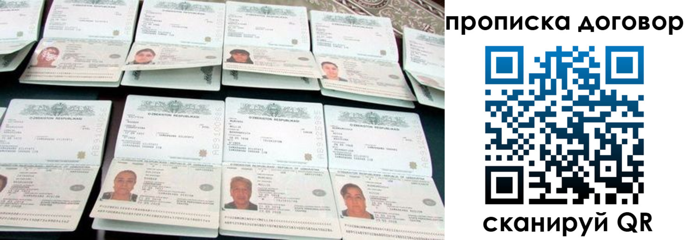 прописка для школы в Болотном
